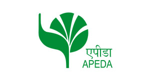 APEDA LOGO